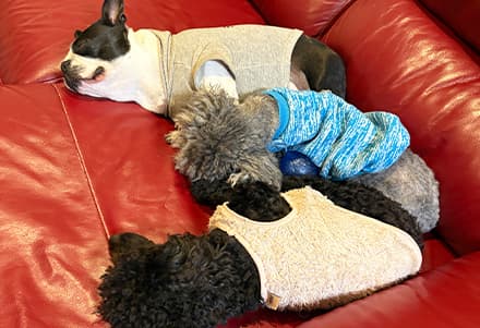 誰とでも仲良し！社交的でフレンドリーな性格