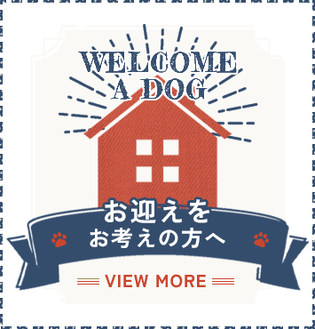 お迎えをお考えの方へ