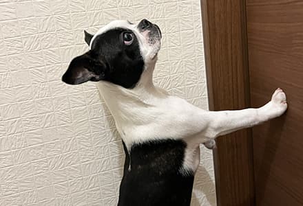 しっかりアフターフォロー