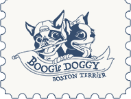 お迎えをお考えの方へ | 愛知県で小型犬・中型犬をお探しならボストンテリア専門犬舎『ブギ・ドギー』へ